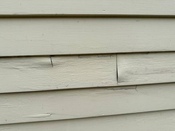  , USA Siding Installation & Repair Pros